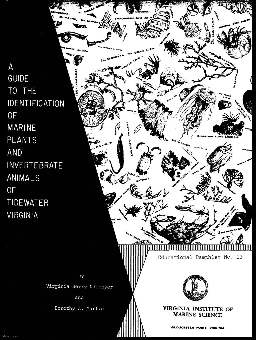 Virginia Institute of Marine Science