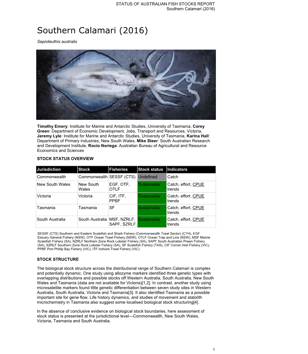 Southern Calamari (2016)