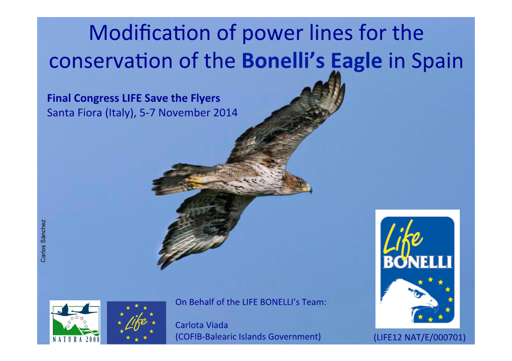 Modifica2on of Power Lines for the Conserva2on of the Bonelli's Eagle