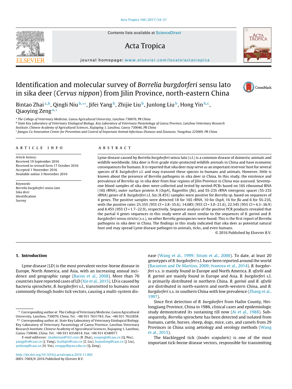 Identification and Molecular Survey of Borrelia