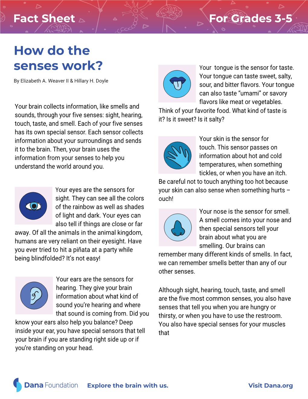 3-5 How Do the Senses Work Redesign V5 Copy