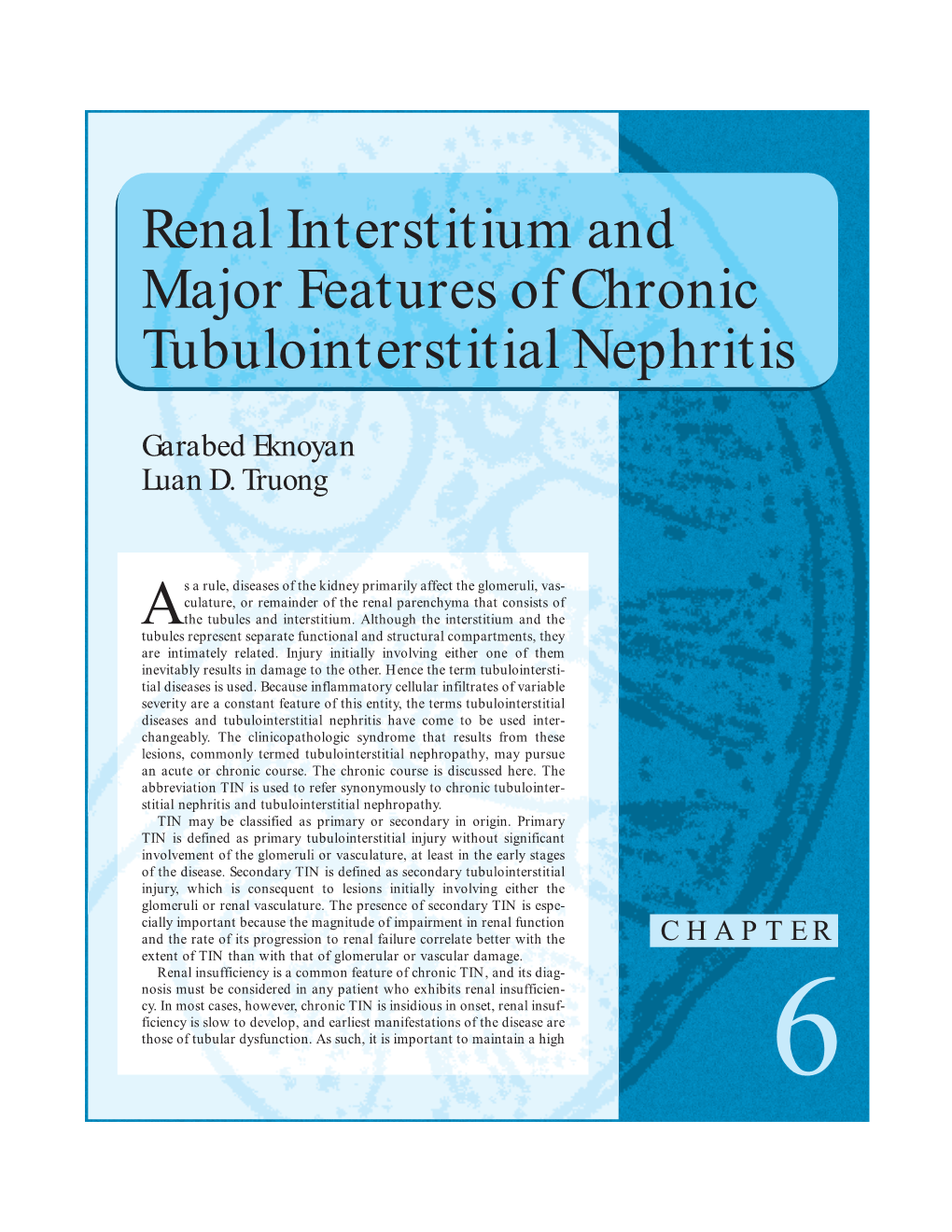 Renal Interstitium and Major Features of Chronic Tubulointerstitial Nephritis