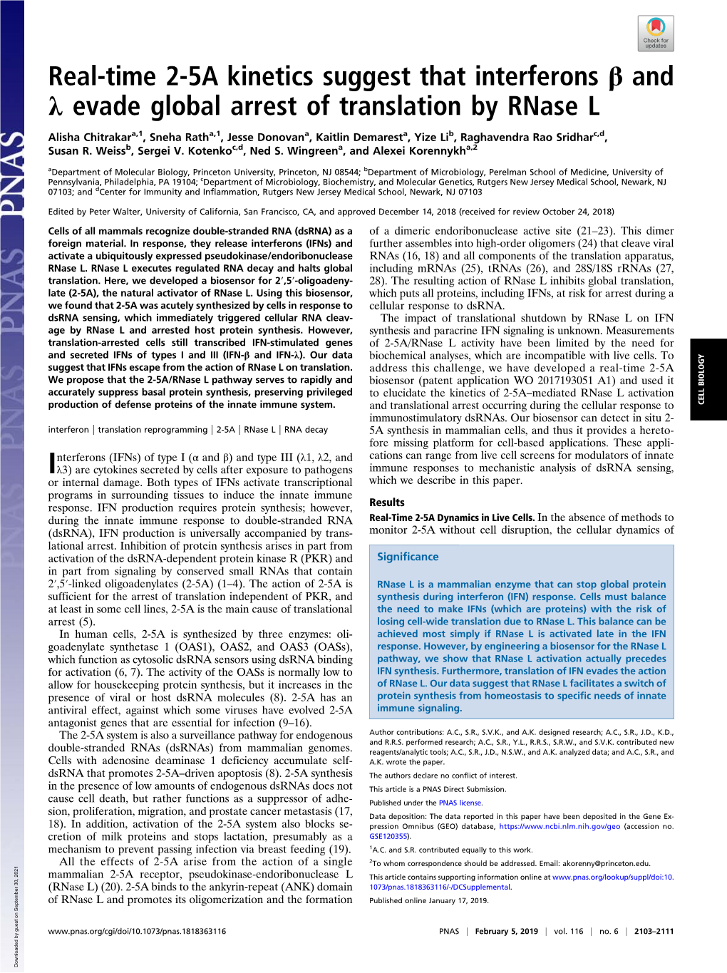 Real-Time 2-5A Kinetics Suggest That Interferons Β and Λ Evade Global Arrest of Translation by Rnase L