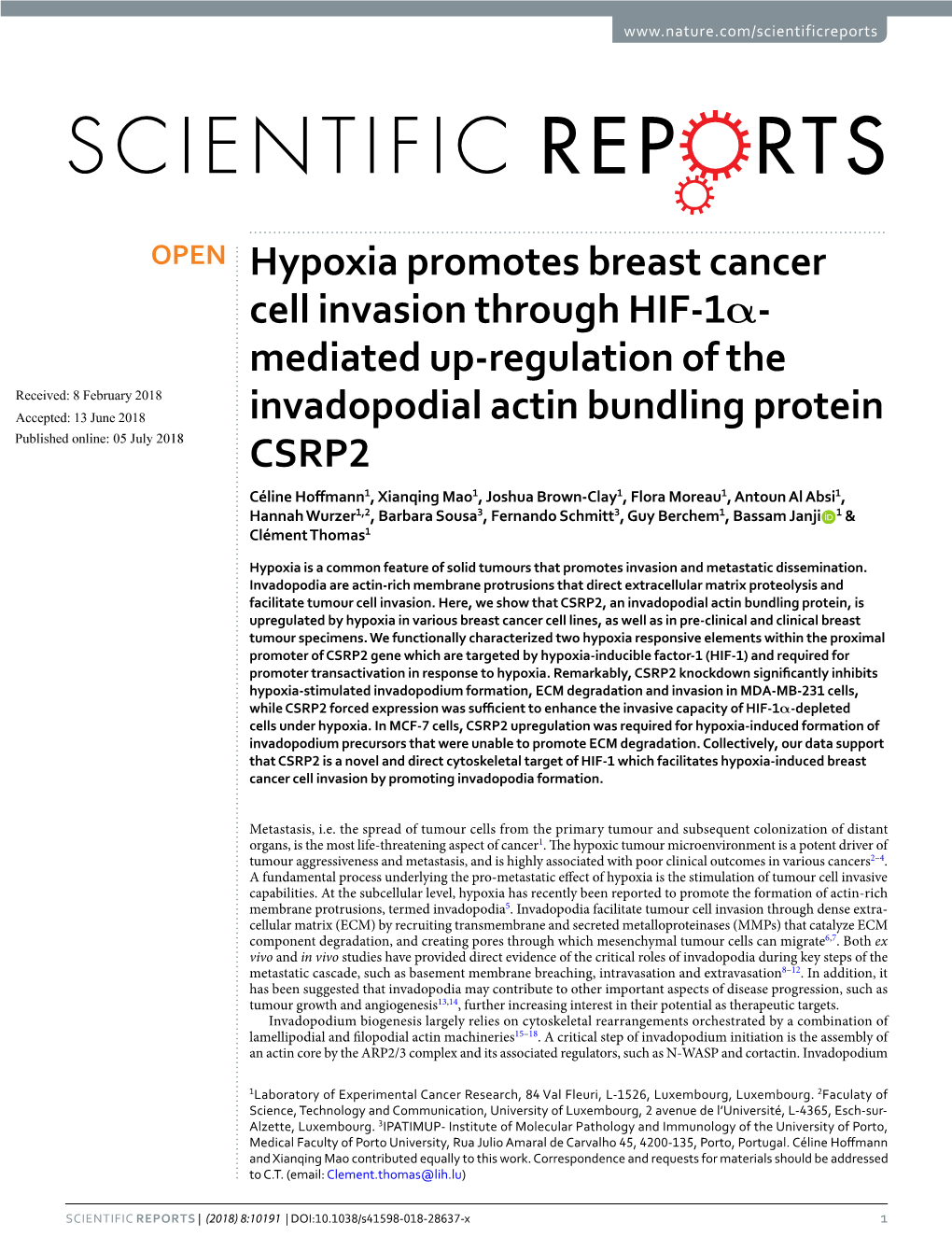 Hypoxia Promotes Breast Cancer Cell Invasion Through HIF-1Α-Mediated