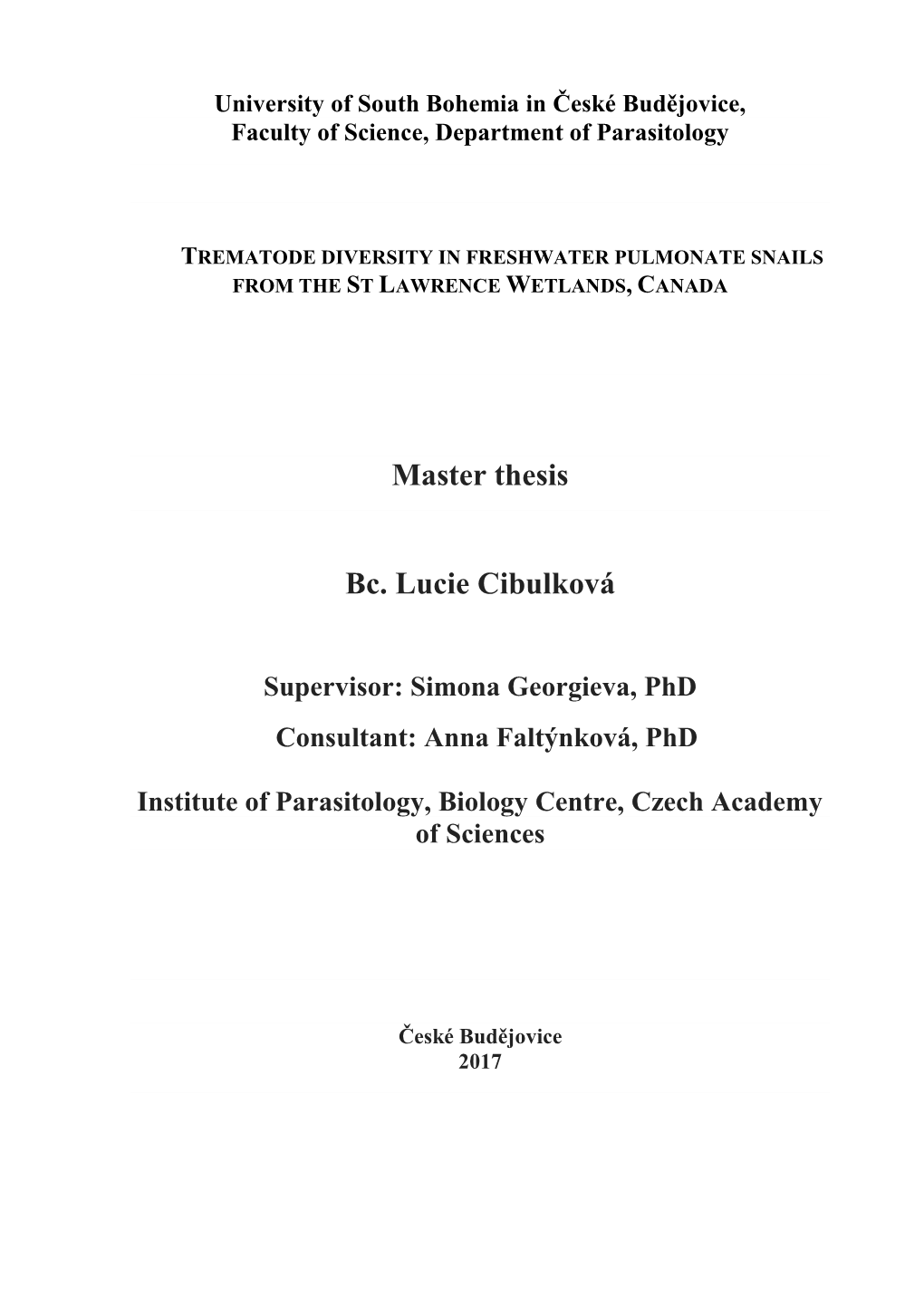 Master Thesis Bc. Lucie Cibulková