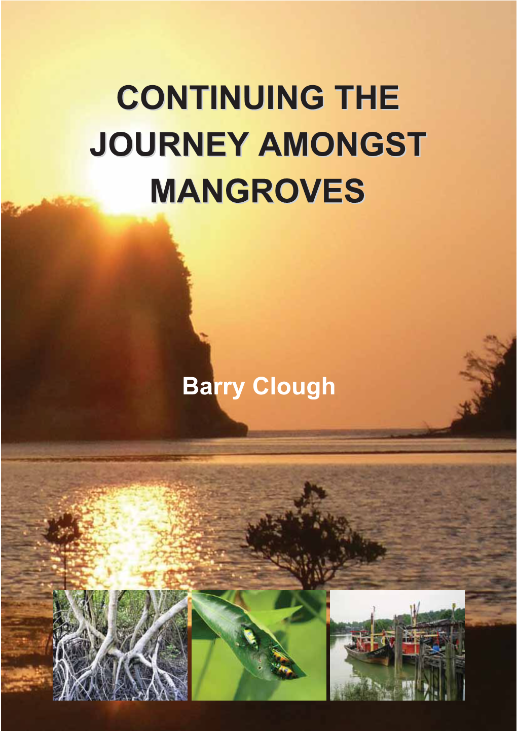 Continuing the Journey Amongst Mangroves