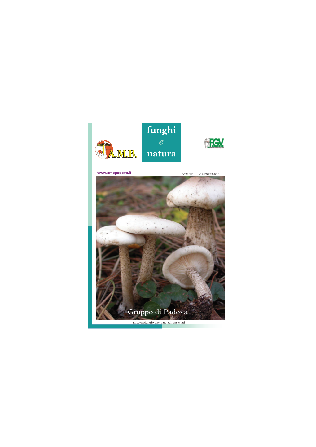 Funghi E Natura