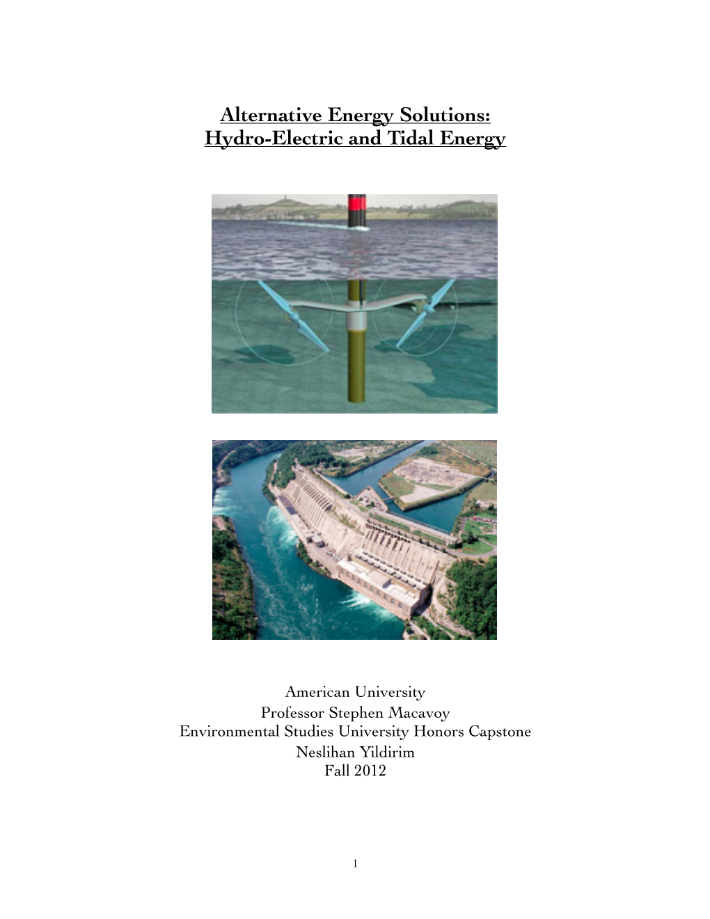 Alternative Energy Solutions: Hydro-Electric and Tidal Energy