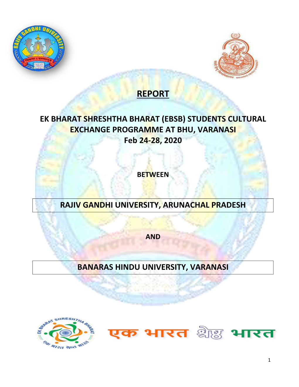 Report Students Exchange Programme EBSB