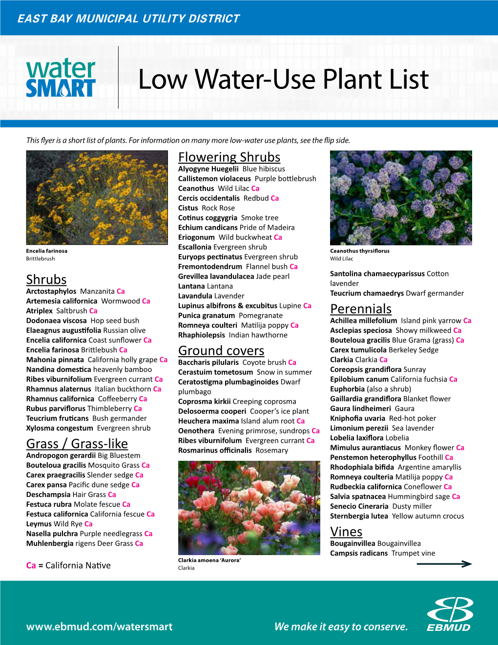 Low Water-Use Plant List