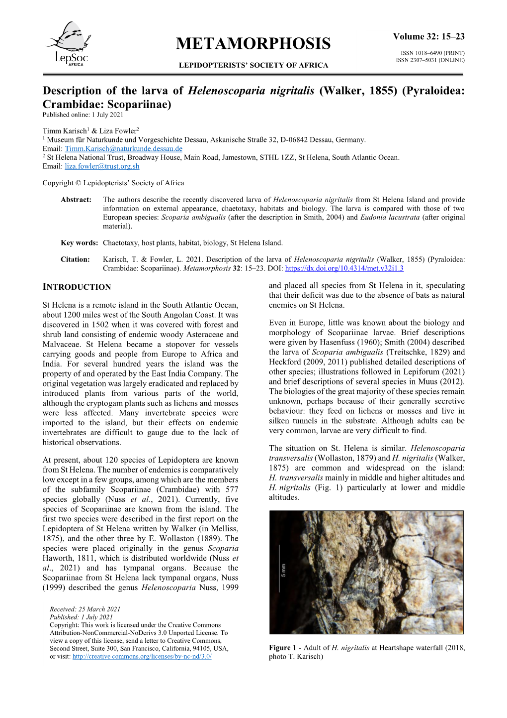 Metamorphosis Issn 1018–6490 (Print) Issn 2307–5031 (Online) Lepidopterists’ Society of Africa