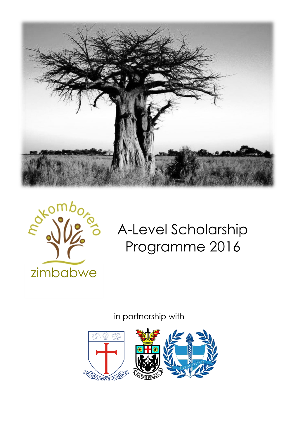 A-Level Scholarship Programme 2016 Zimbabwe