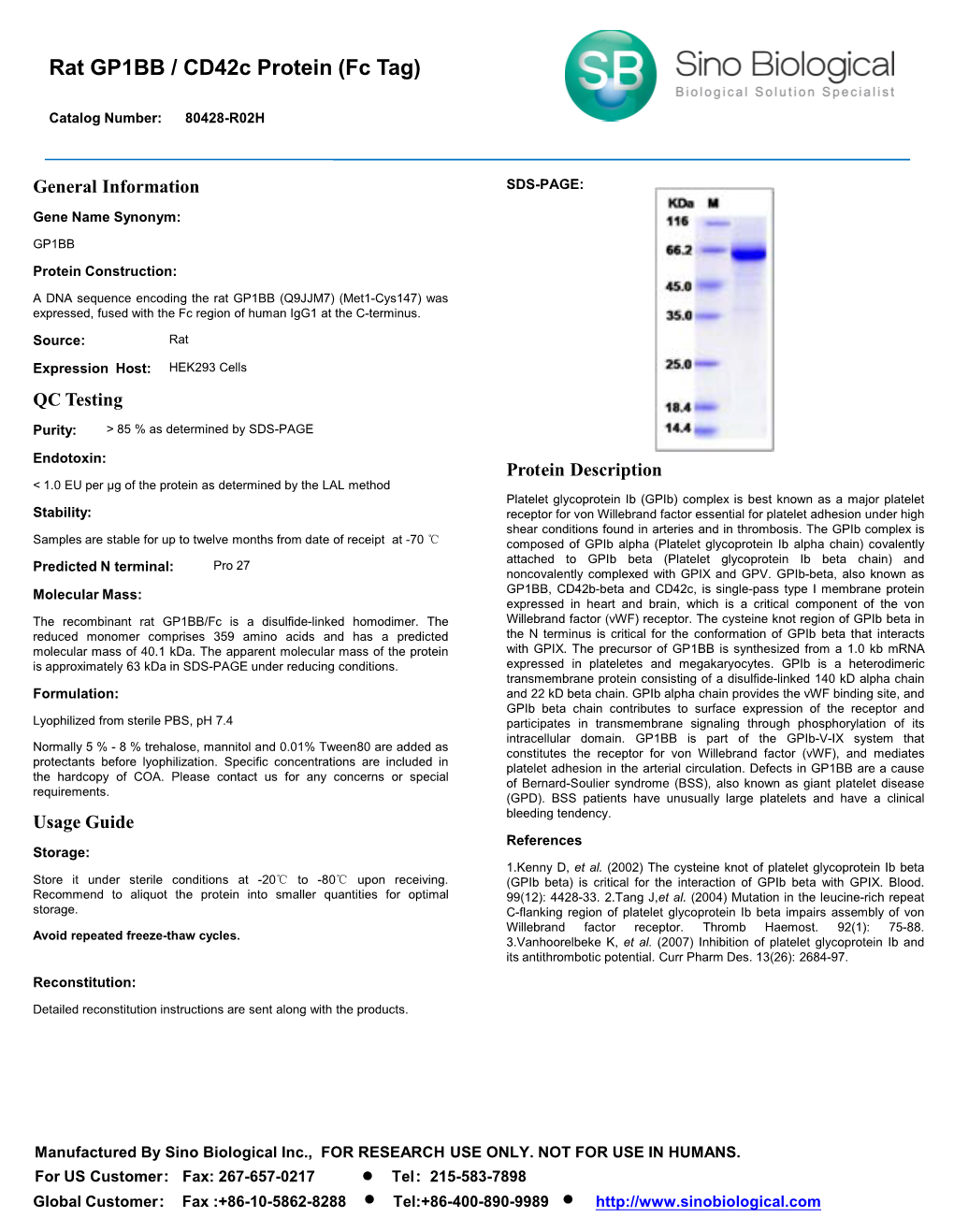 Rat GP1BB / Cd42c Protein (Fc Tag)