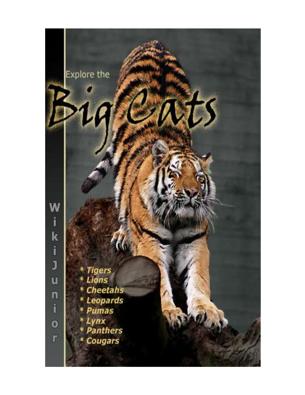 Big Cats.Pdf