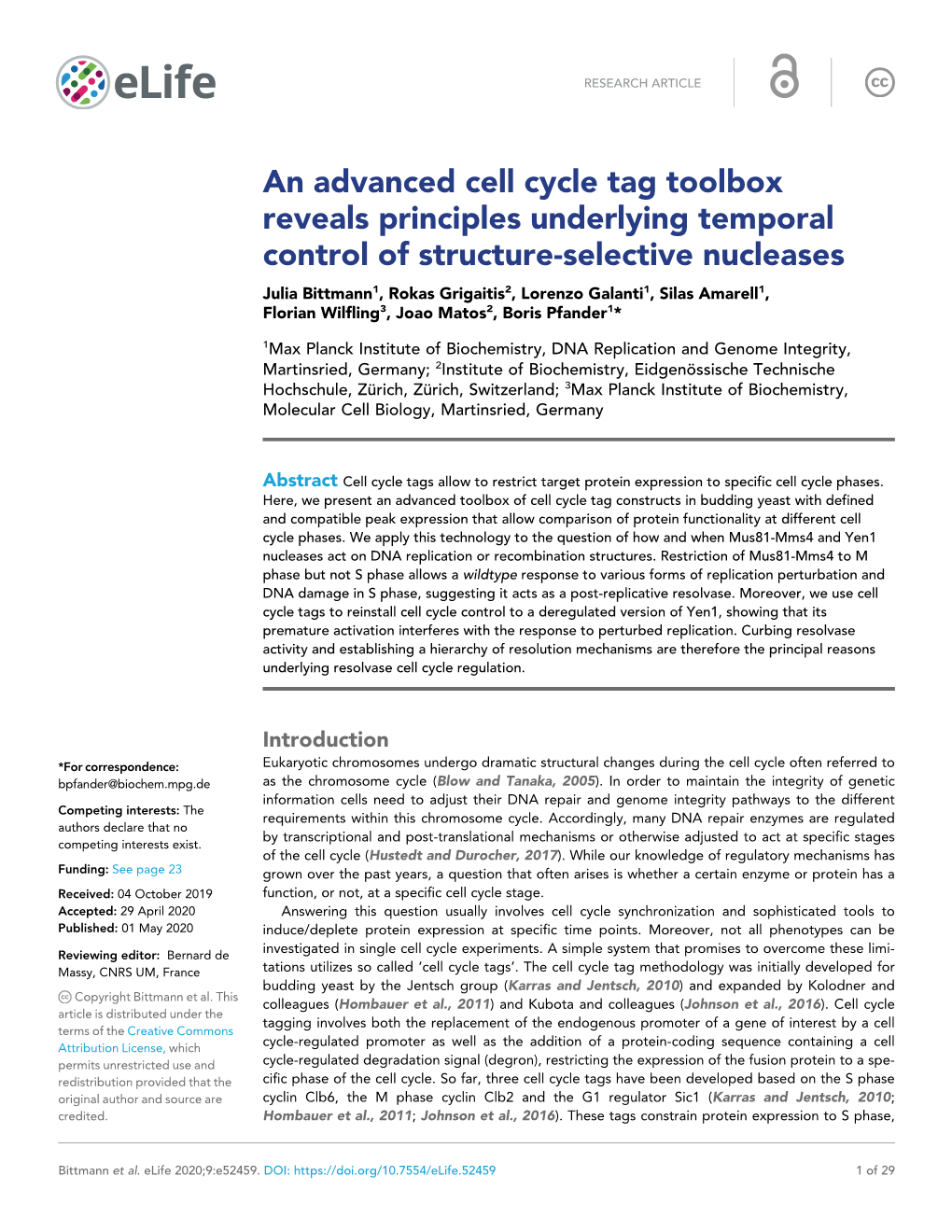 An Advanced Cell Cycle Tag Toolbox Reveals Principles Underlying