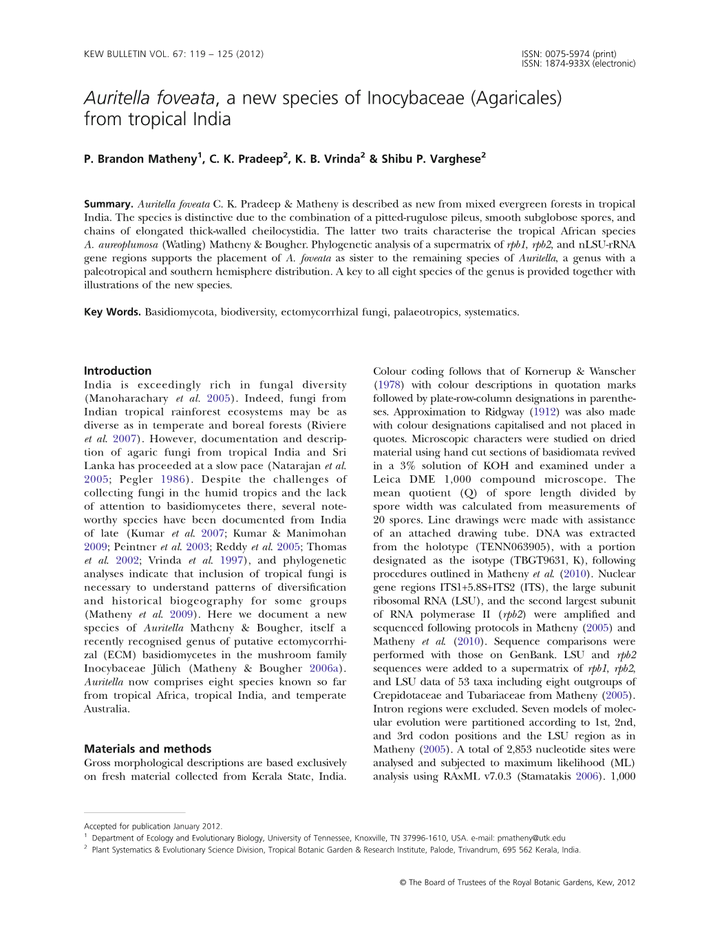 Auritella Foveata, a New Species of Inocybaceae (Agaricales) from Tropical India