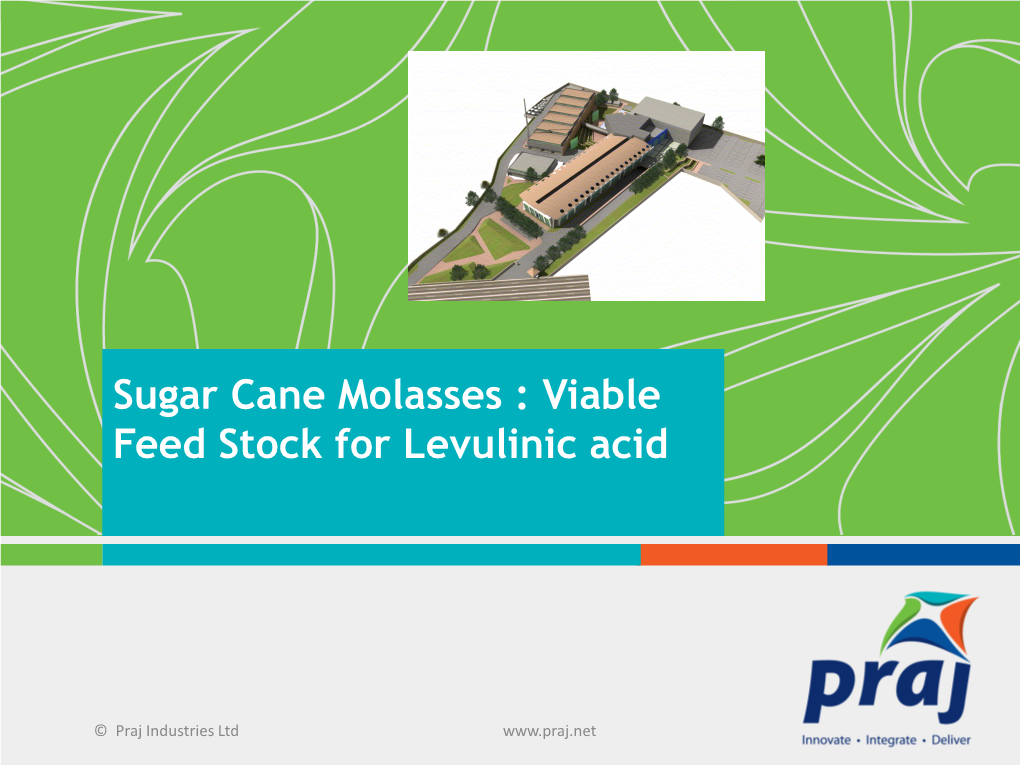 Sugar Cane Molasses : Viable Feed Stock for Levulinic Acid