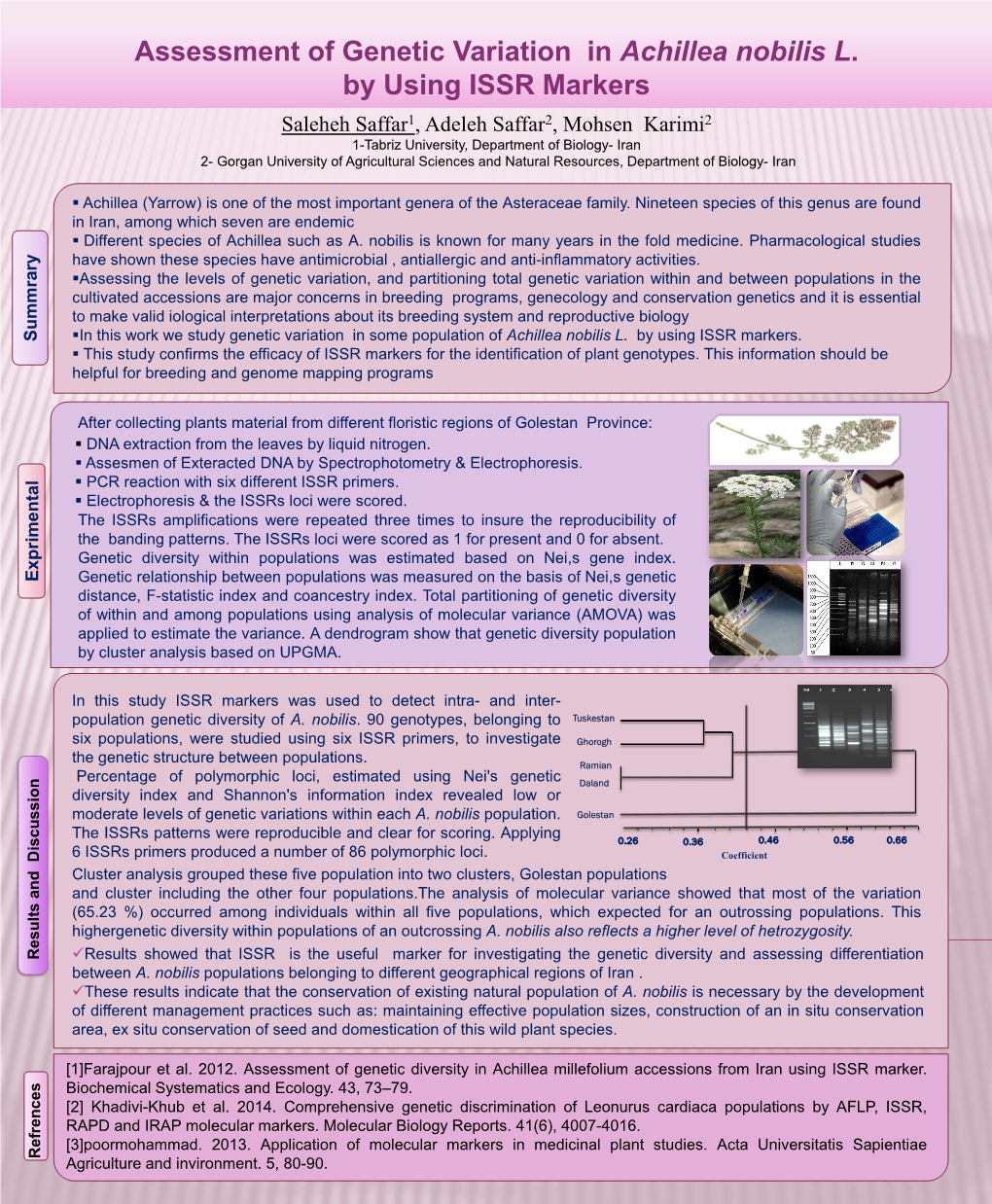 Assessment of Genetic Variation in Achillea Nobilis L. by Using ISSR