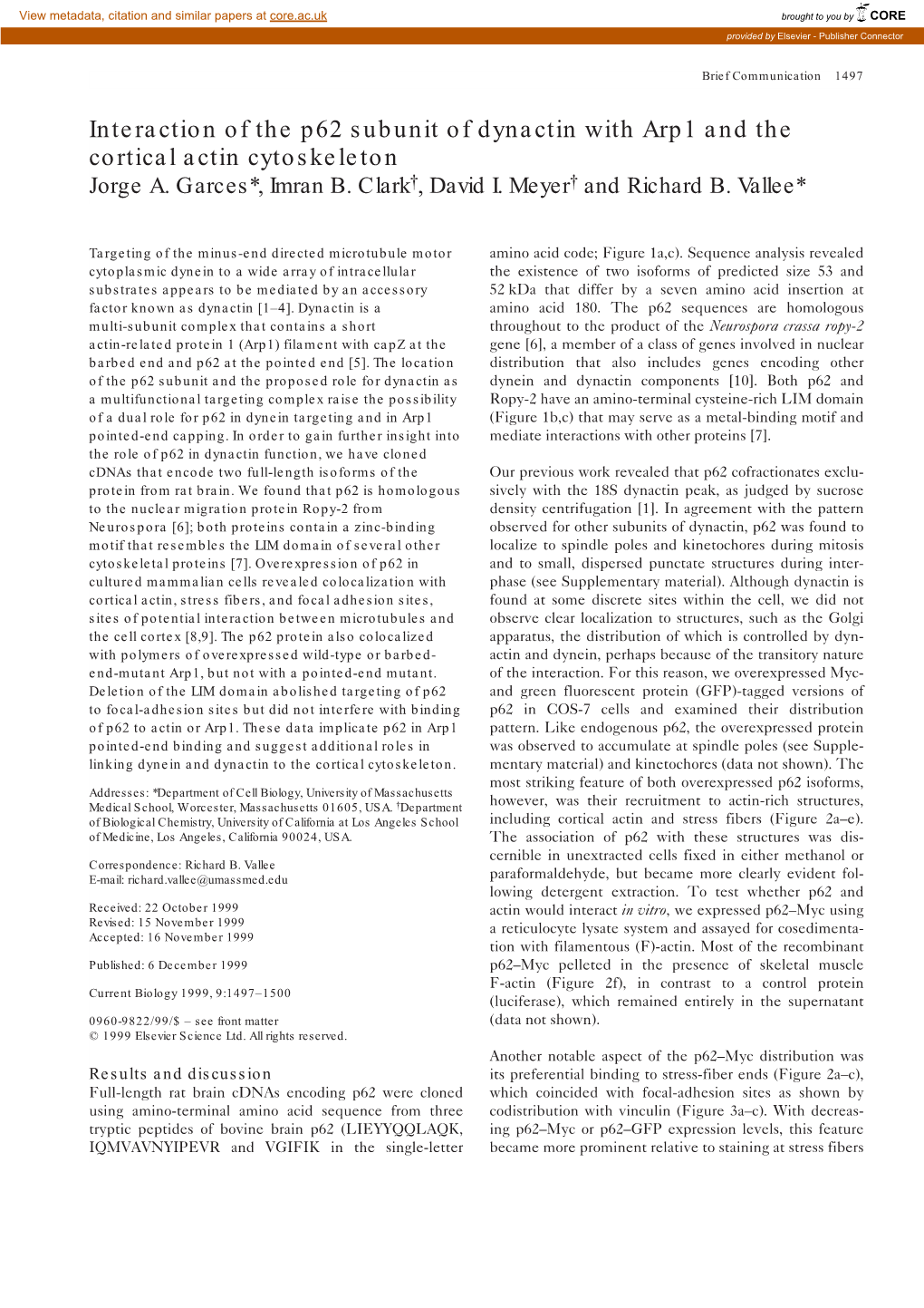 Interaction of the P62 Subunit of Dynactin with Arp1 and the Cortical Actin Cytoskeleton Jorge A