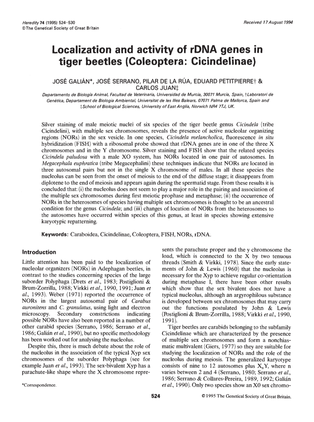 Localization and Activity of Rdna Genes in Tiger Beetles (Coleoptera: Cicindelinae)