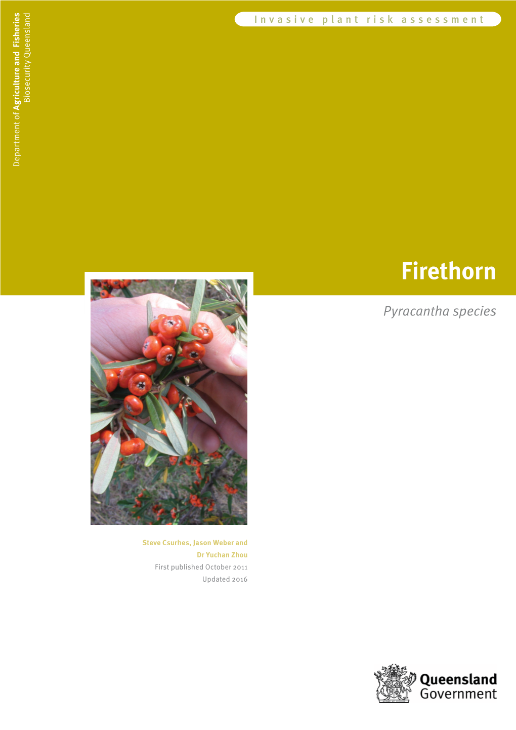 Firethorn Risk Assessment