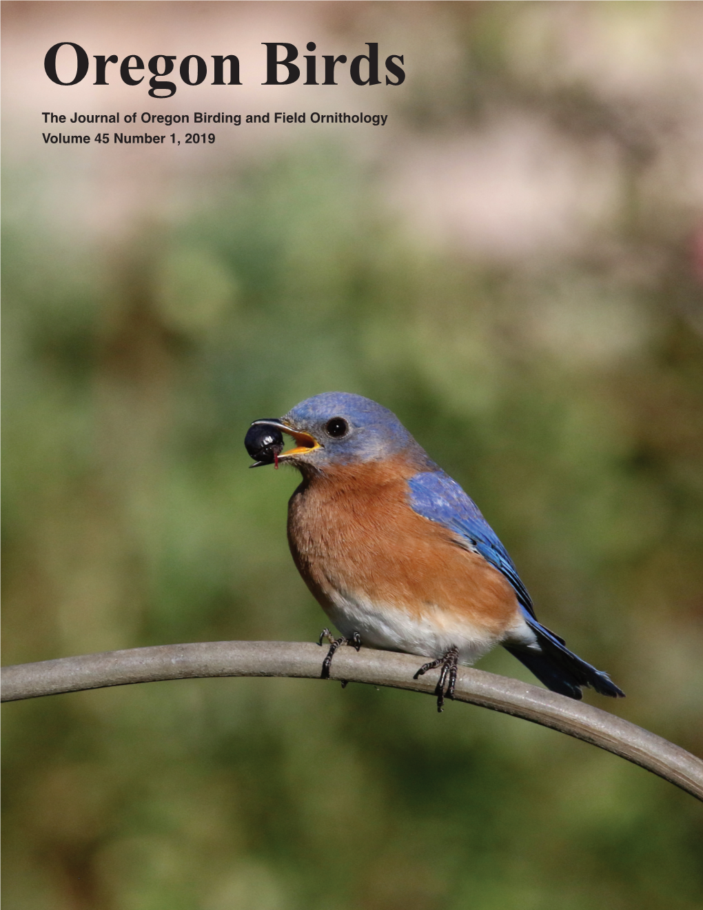 Oregon Birds the Journal of Oregon Birding and Field Ornithology Volume 45 Number 1, 2019 Oregon Birds the Journal of Oregon Birding and Field Ornithology