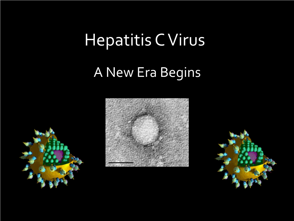 Hepatitis C Virus