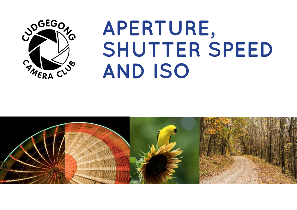 Aperture, Shutter Speed And