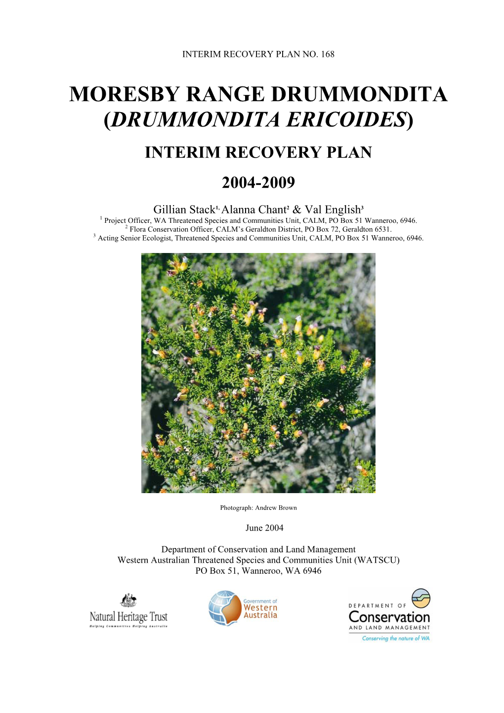 Drummondita Ericoides)