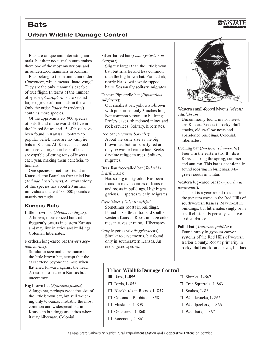 L855 Bats: Urban Wildlife Damage Control