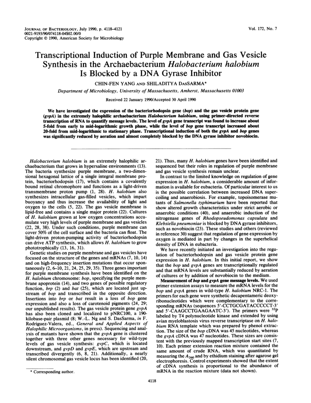 Transcriptional Induction of Purple Membrane and Gas Vesicle Synthesis in the Archaebacterium Halobacterium Halobium Is Blocked by a DNA Gyrase Inhibitor