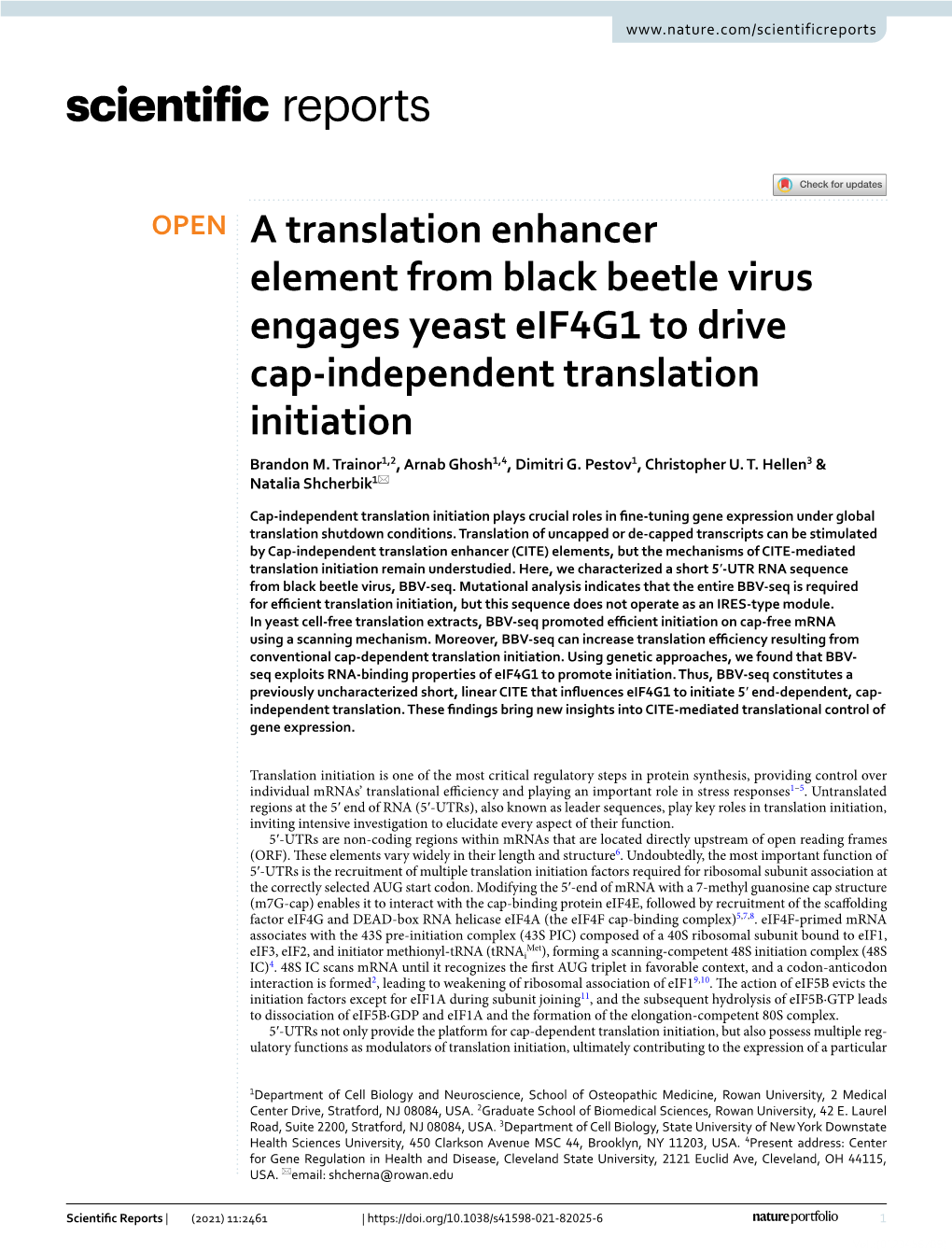 A Translation Enhancer Element from Black Beetle Virus Engages Yeast Eif4g1 to Drive Cap-Independent Translation Initiation