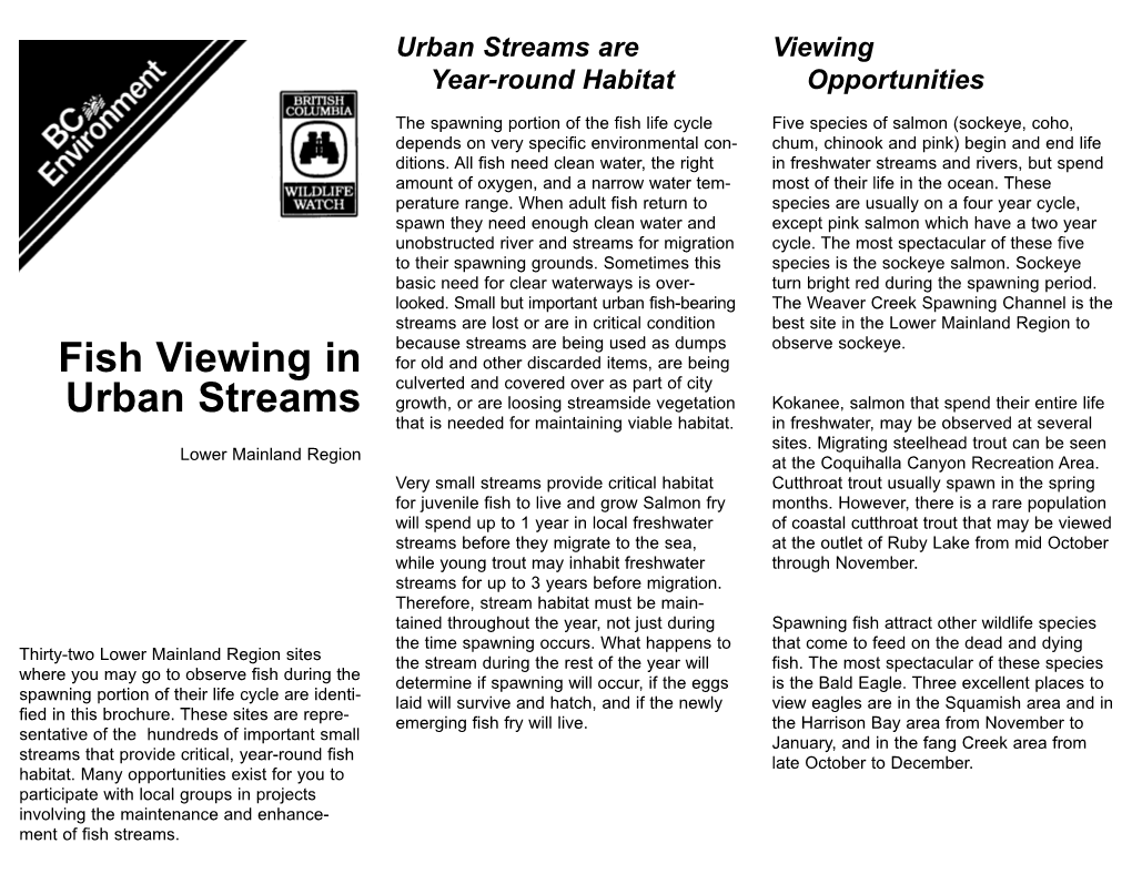 Fish Viewing in Urban Streams