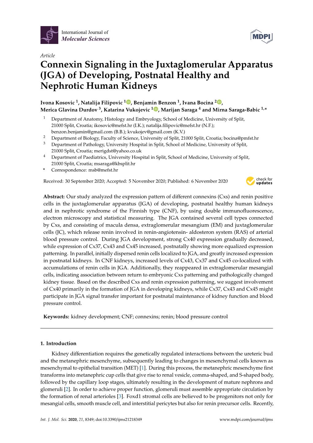 Connexin Signaling in the Juxtaglomerular Apparatus (JGA) of Developing, Postnatal Healthy and Nephrotic Human Kidneys