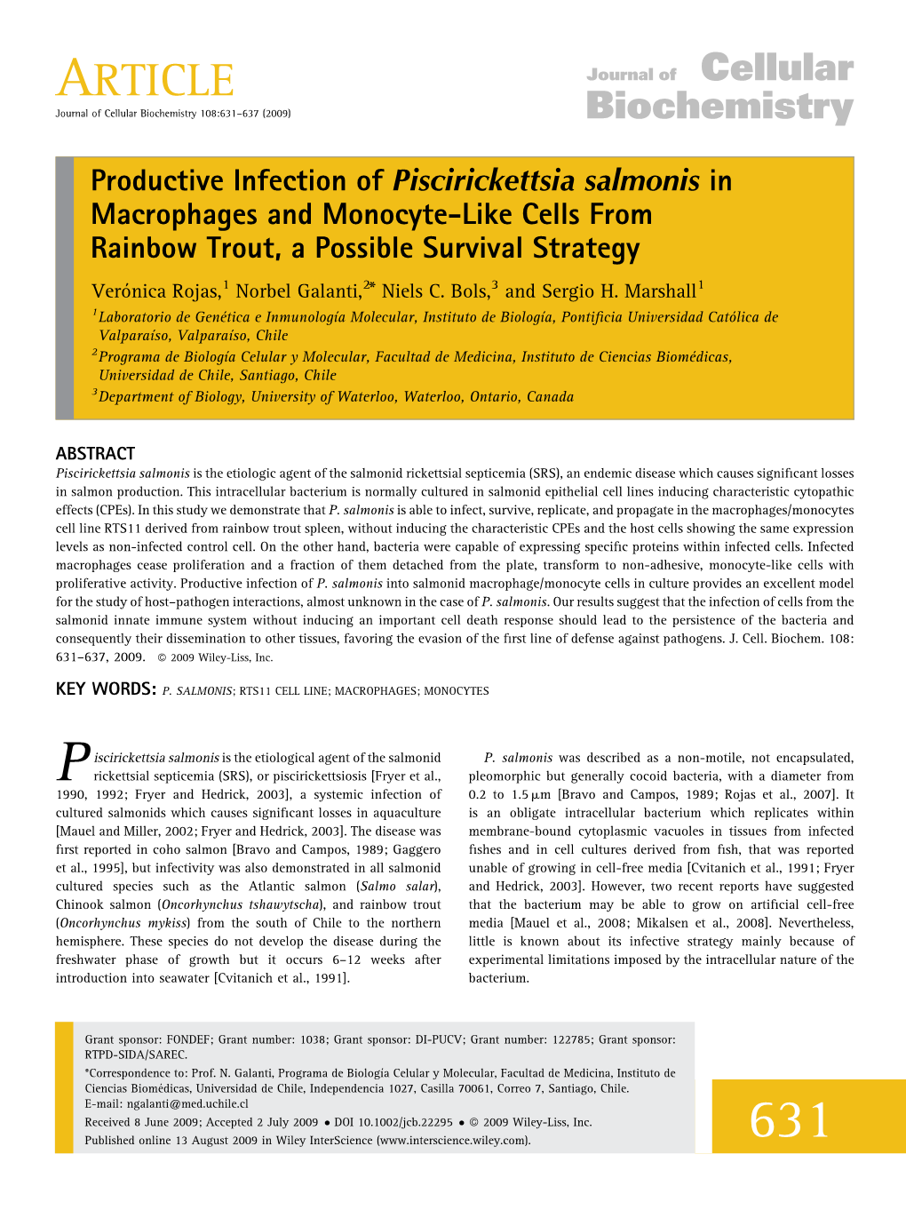 Productive Infection of Piscirickettsia Salmonis in Macrophages and Monocyte-Like Cells from Rainbow Trout, a Possible Survival