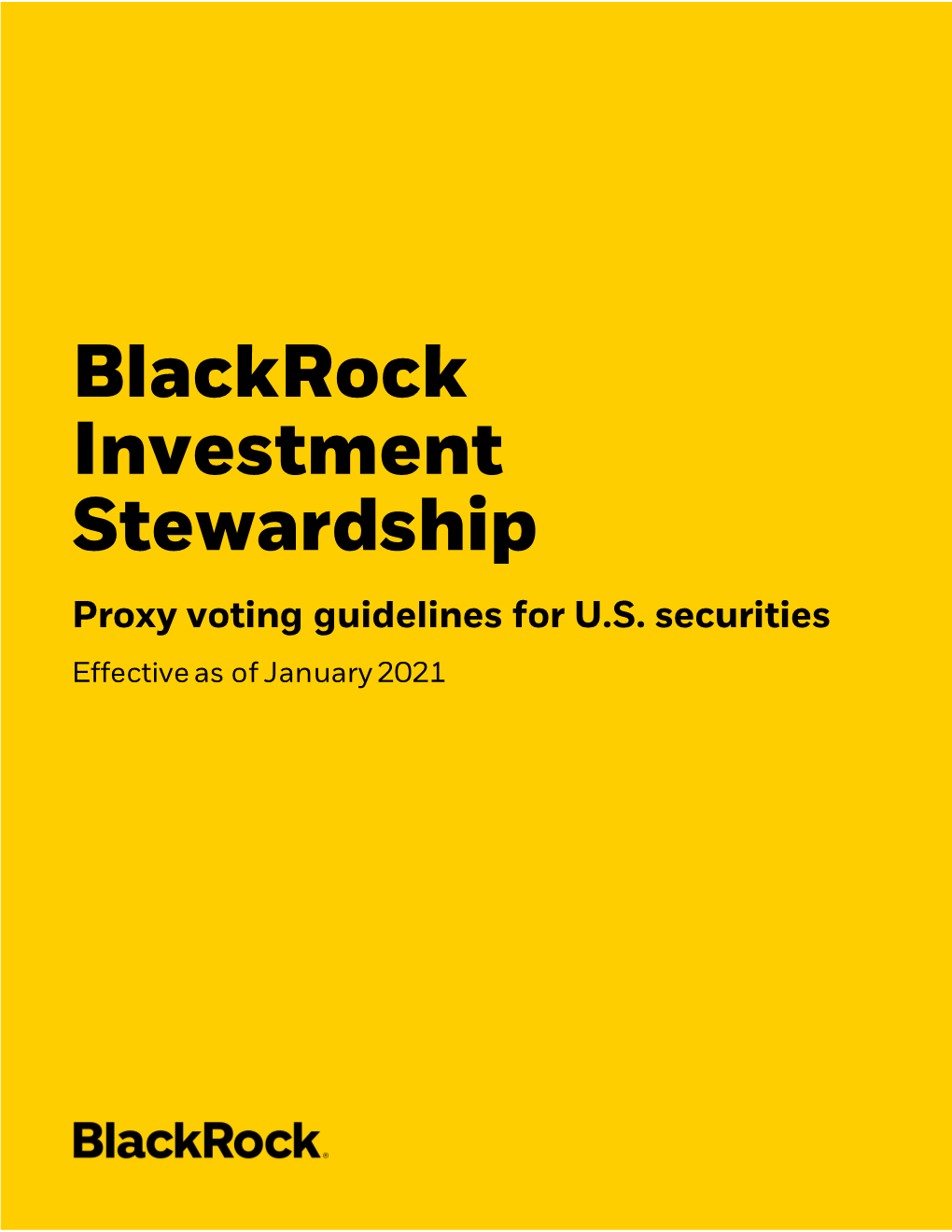 Blackrock Investment Stewardship Proxy Voting Guidelines for US