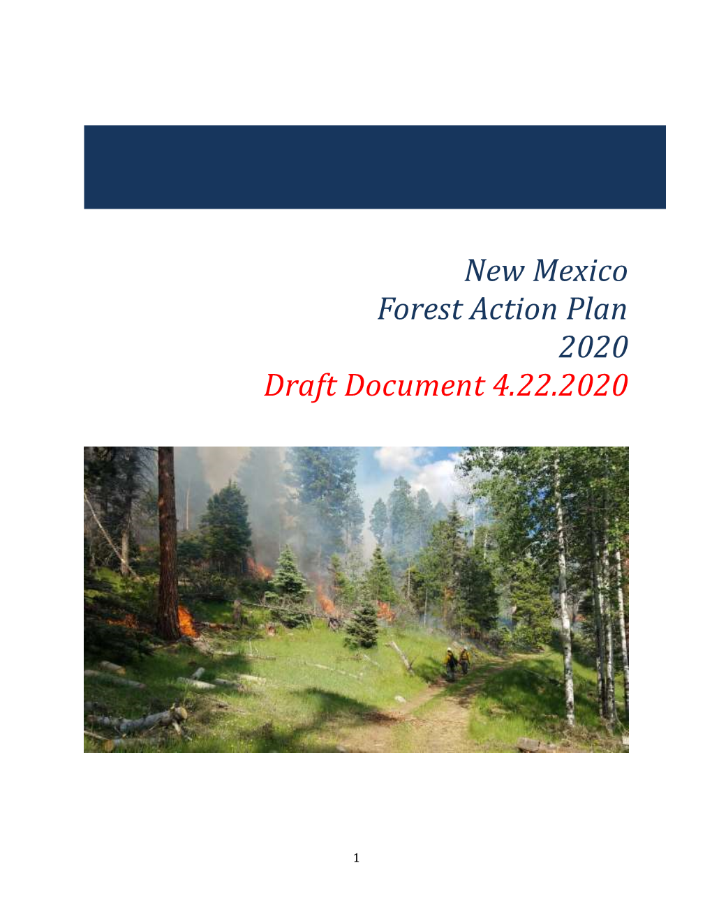 New Mexico Forest Action Plan 2020 Draft Document 4.22.2020