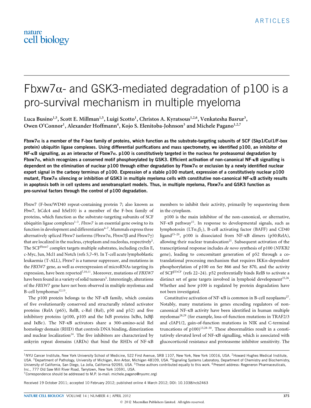 And GSK3-Mediated Degradation of P100 Is a Pro-Survival Mechanism in Multiple Myeloma