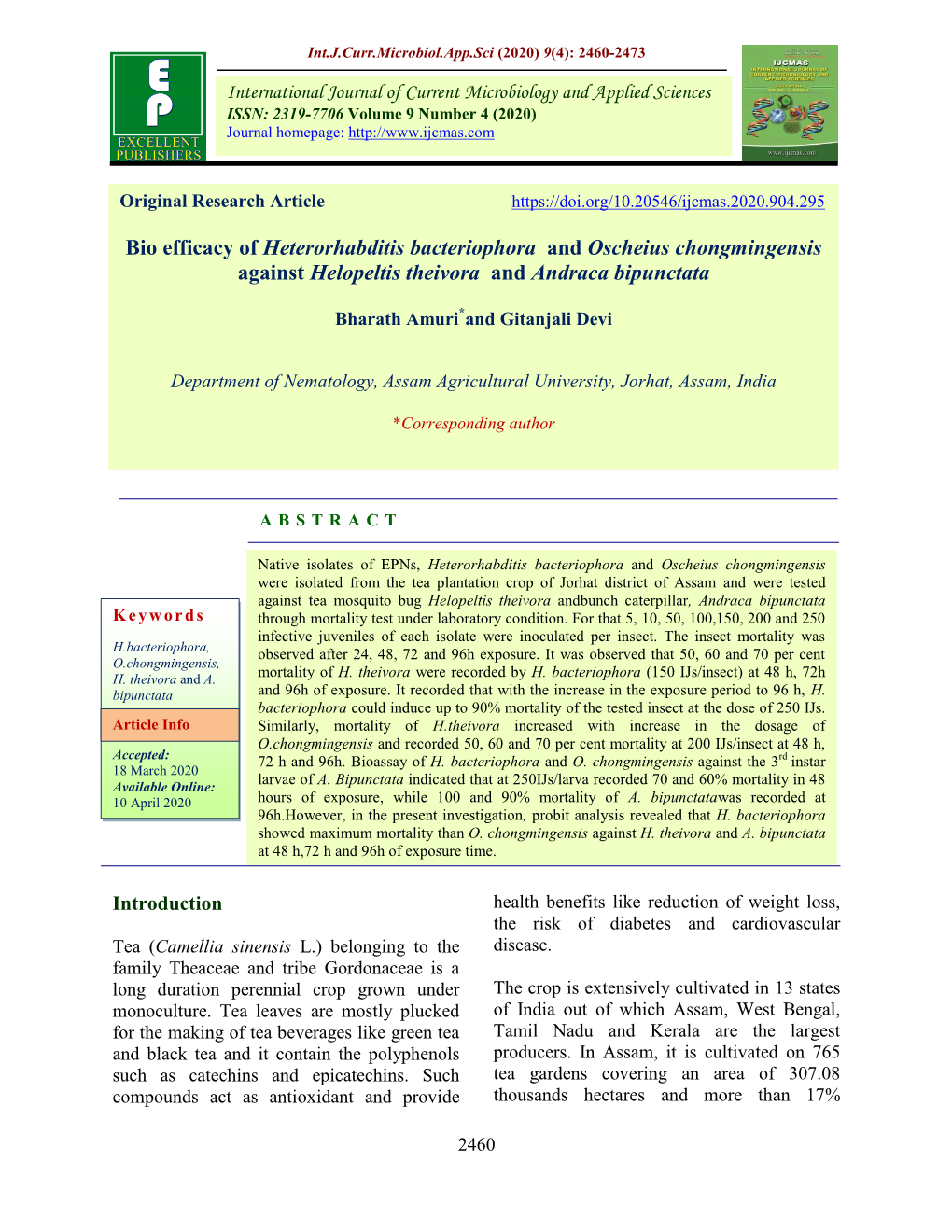 Bio Efficacy of Heterorhabditis Bacteriophora and Oscheius Chongmingensis Against Helopeltis Theivora and Andraca Bipunctata