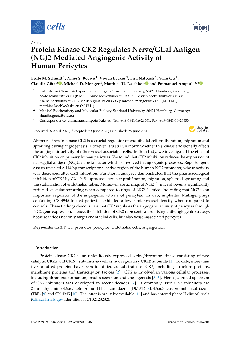 (NG)2-Mediated Angiogenic Activity of Human Pericytes
