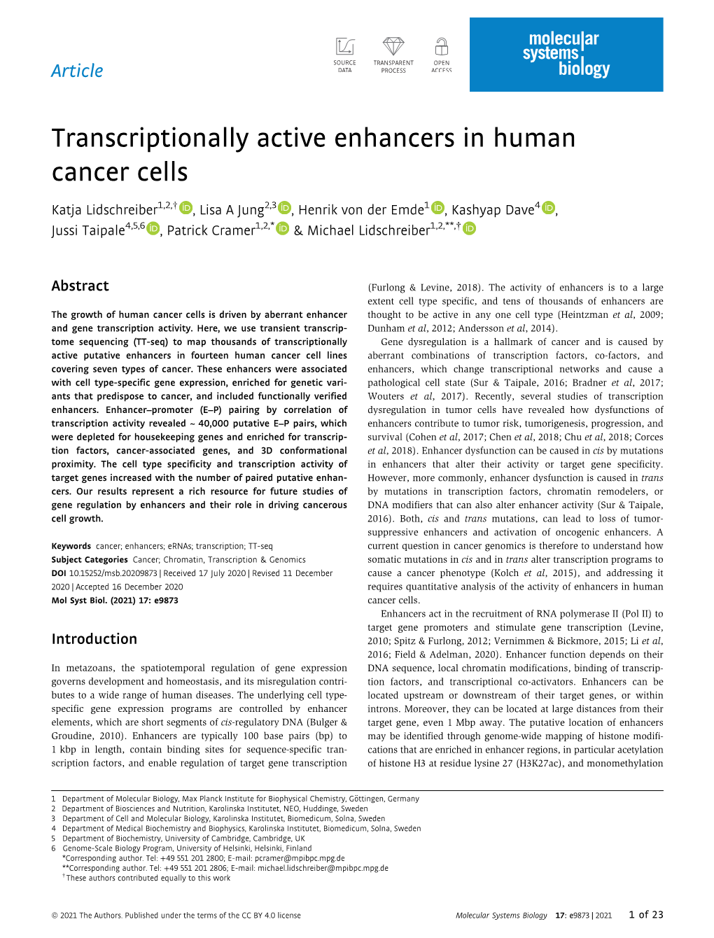 Transcriptionally Active Enhancers in Human Cancer Cells