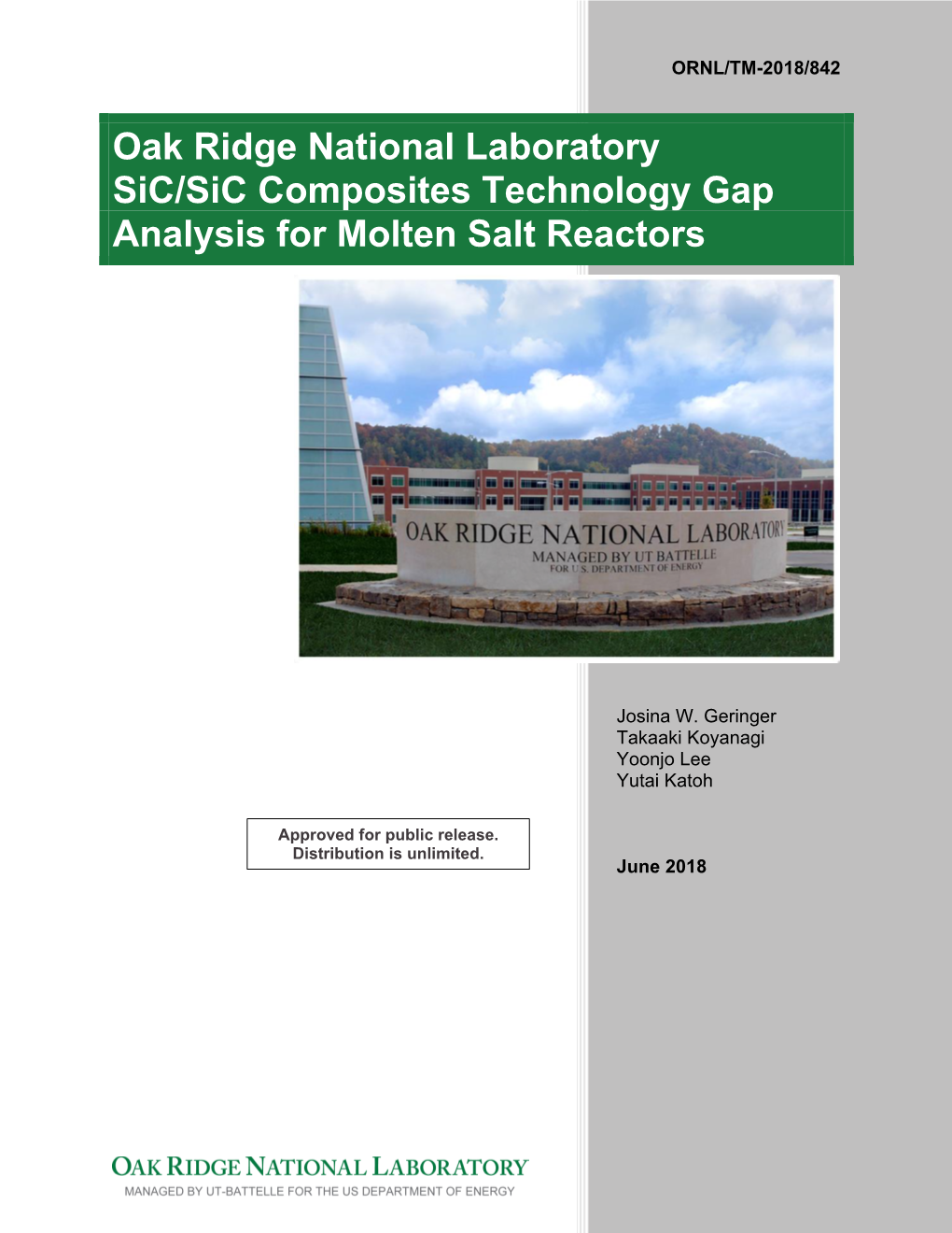 Oak Ridge National Laboratory Sic/Sic Composites Technology Gap Analysis for Molten Salt Reactors