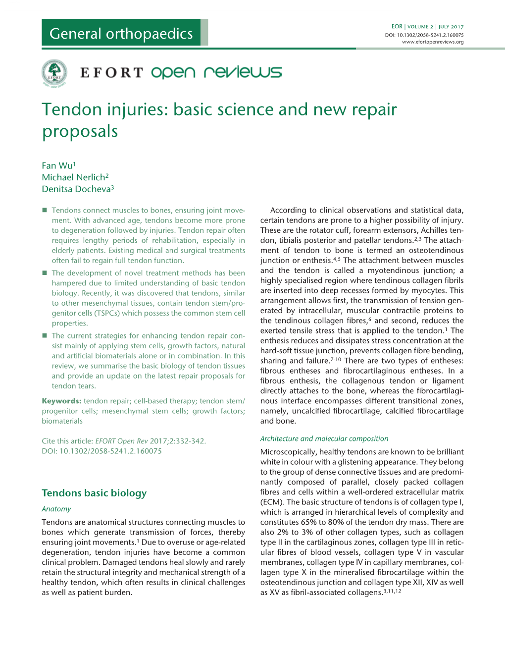 Tendon Injuries: Basic Science and New Repair Proposals