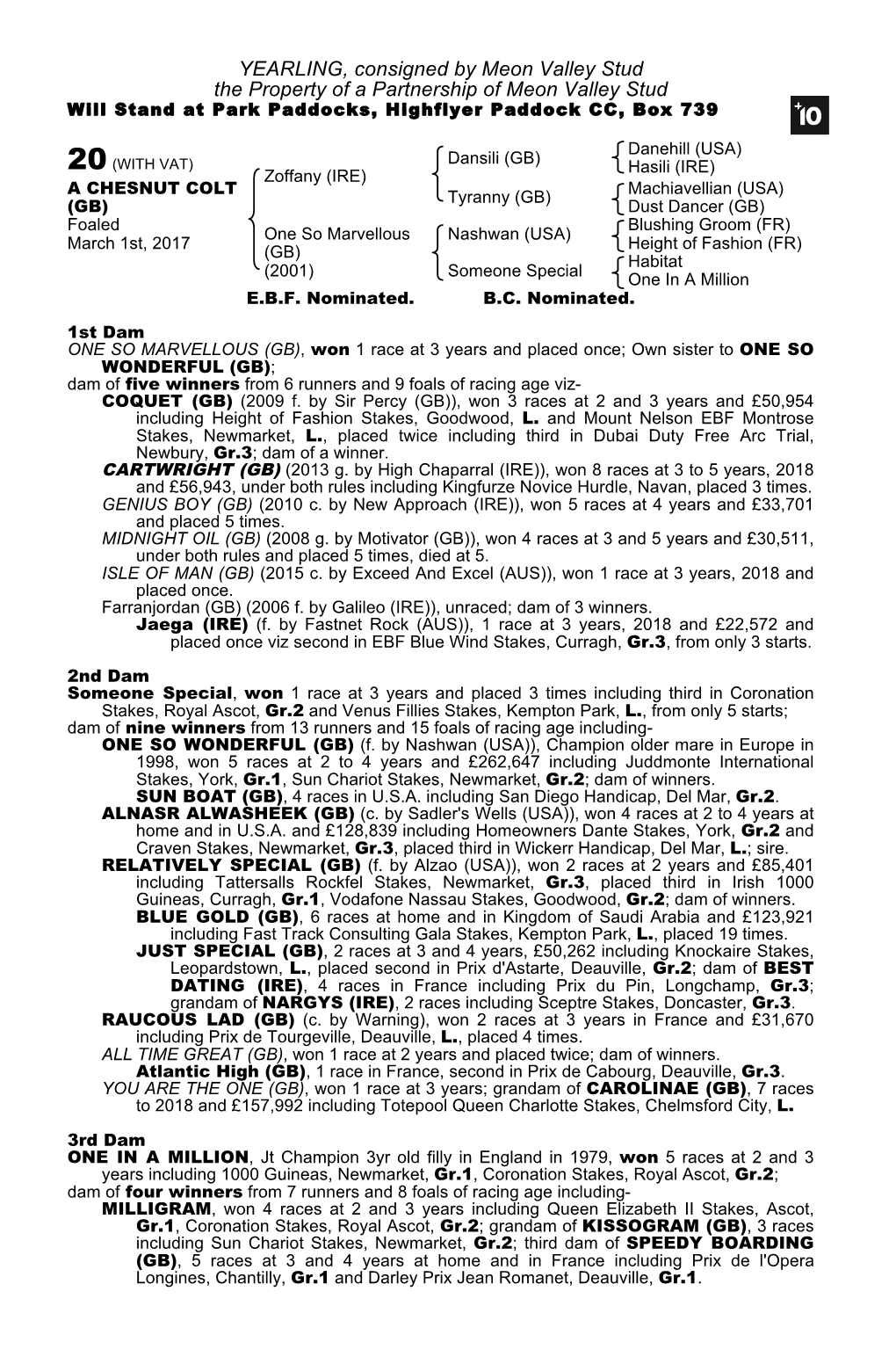 YEARLING, Consigned by Meon Valley Stud the Property of a Partnership of Meon Valley Stud Will Stand at Park Paddocks, Highflyer Paddock CC, Box 739