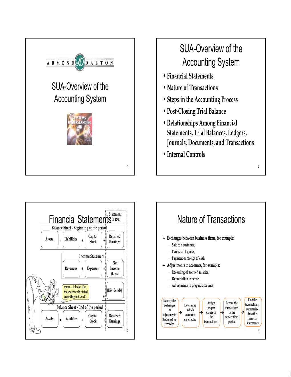 SUA-Overview of the Accounting System Financial Statements Nature of Transactions