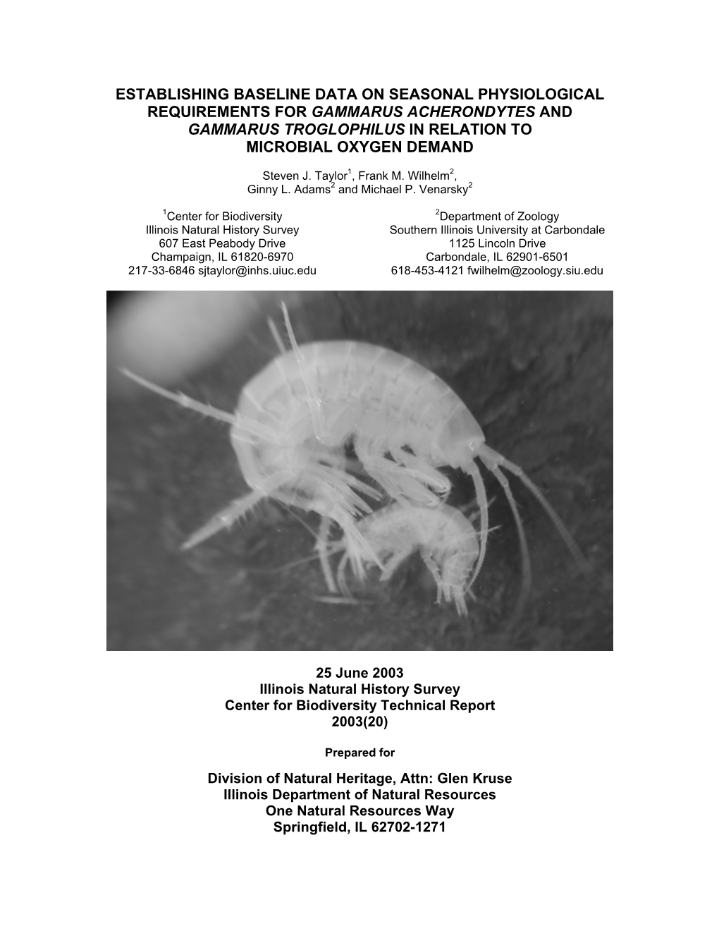 Establishing Baseline Data on Seasonal Physiological Requirements for Gammarus Acherondytes and Gammarus Troglophilus in Relation to Microbial Oxygen Demand