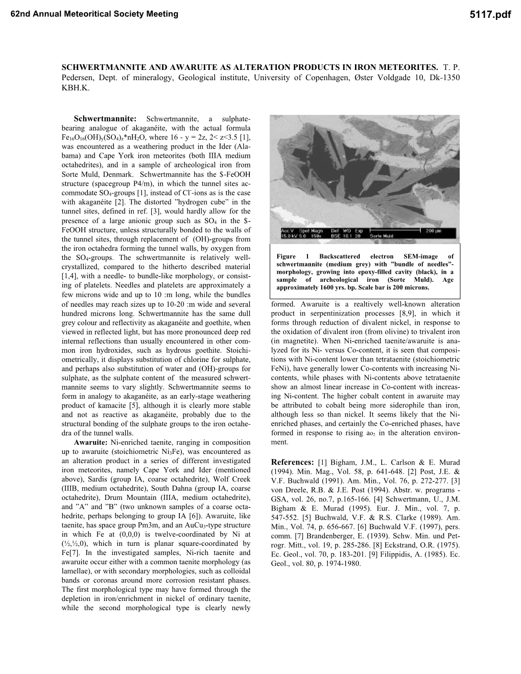 Schwertmannite and Awaruite As Alteration Products in Iron Meteorites