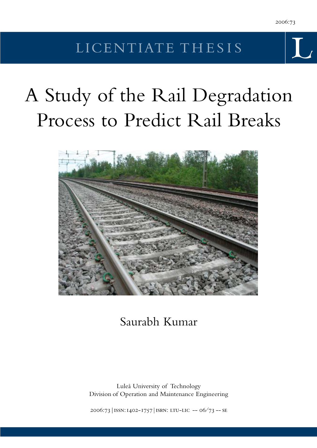 A Study of the Rail Degradation Process to Predict Rail Breaks