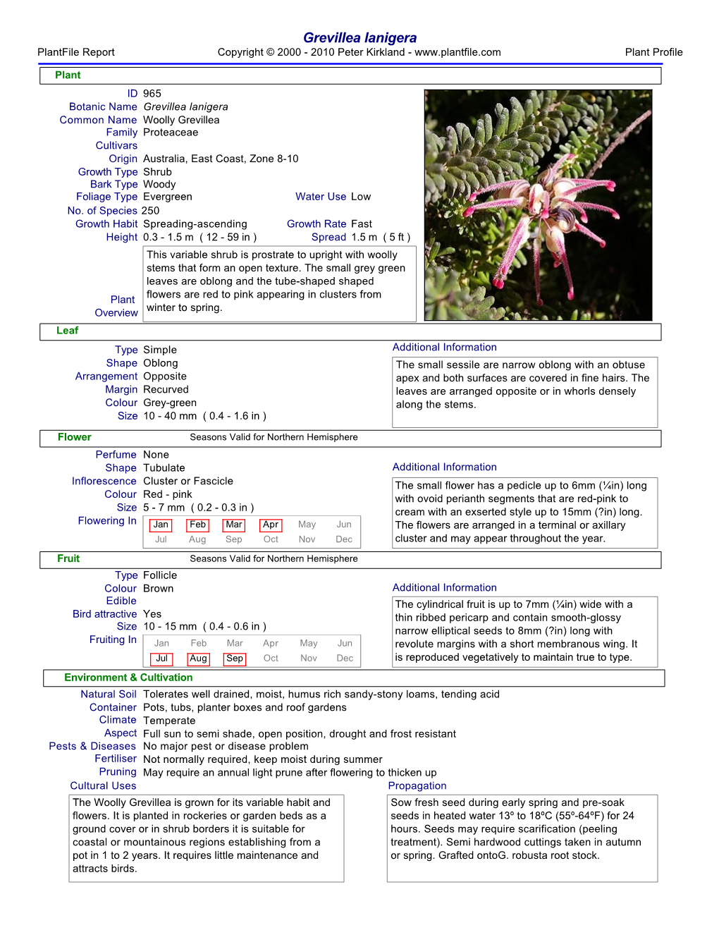 Plantfile Document