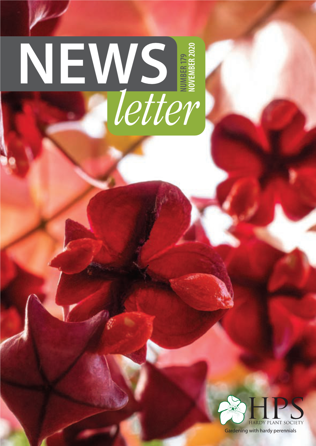 NEWS NOVEMBER 2020 Letter ● the Hardy Plant Society Is a Registered Charity